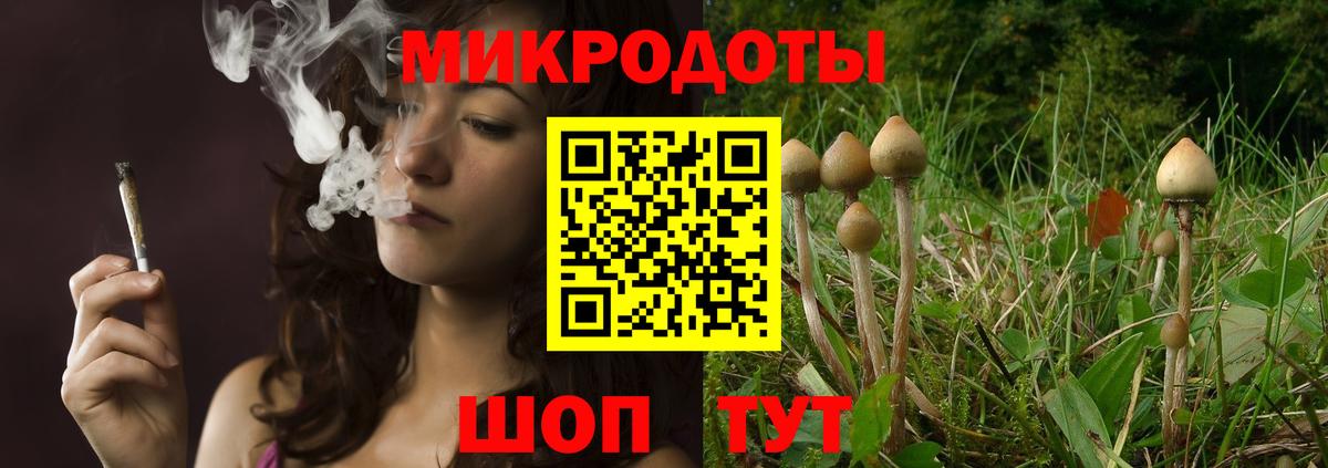 Галлюциногенные грибы Psilocybe Учалы